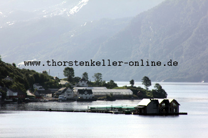 7441_Hardangerfjord